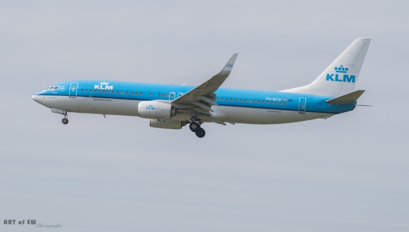 KLM B737