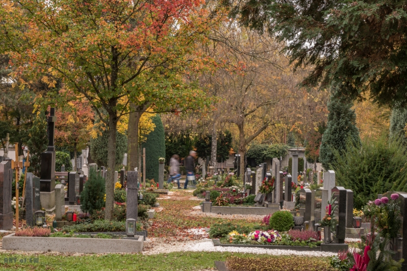 schöner Friedhof in Linz